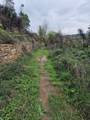 Nebian_22_10-37