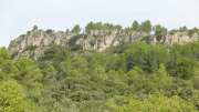 Nebian_22_10-40