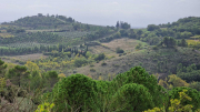 Nebian_22_10-44