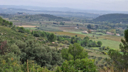 Nebian_22_10-48