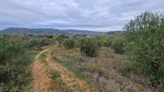 Nebian_22_10-5