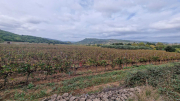 Nebian_22_10-54