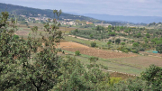 Nebian_22_10-55