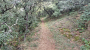 Nebian_22_10-56
