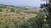 Nebian_22_10-57