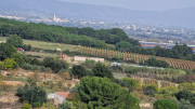 Nebian_22_10-58
