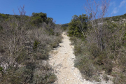 Seranne_22_03-10