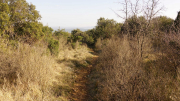 Seranne_22_03-38