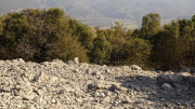 Seranne_22_03-39