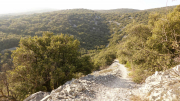 Seranne_22_03-44