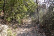 Seranne_22_03-6