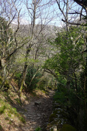 VEZOLES_22_04-10