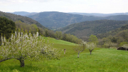 VEZOLES_22_04-101