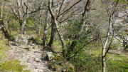 VEZOLES_22_04-11