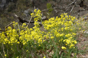 VEZOLES_22_04-34