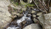 VEZOLES_22_04-43