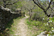 VEZOLES_22_04-5