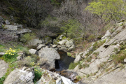 VEZOLES_22_04-56