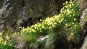 VEZOLES_22_04-60