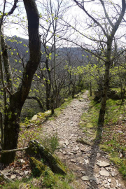 VEZOLES_22_04-8