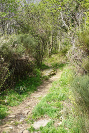 VEZOLES_22_04-9