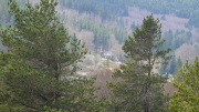 VEZOLES_22_04-91