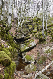 VEZOLES_22_04-97