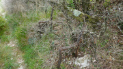 VISSEC_22_09-36