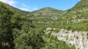 VISSEC_22_09-81