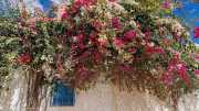 Djerba_Hood-39