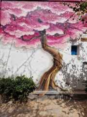 Djerba_Hood-6