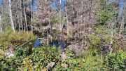 FFC_02-11