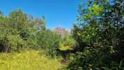 FFC_02-7