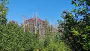 FFC_02-8