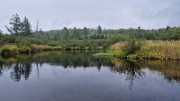 FFC_05-12