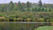 FFC_05-13