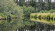 FFC_05-15