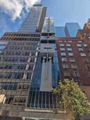 NY_02-19