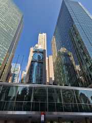 NY_02-8