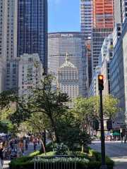 NY_02-9