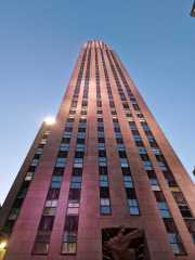 NY_02-124