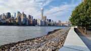 NY_03-155