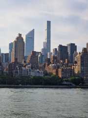 NY_03-157