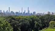 NY_03-82