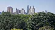 NY_03-83