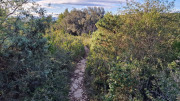 Laudun_23_12-137
