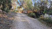 Laudun_23_12-146
