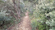 Laudun_23_12-18
