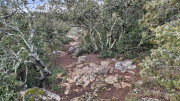 Laudun_23_12-22