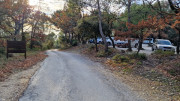 Laudun_23_12-3